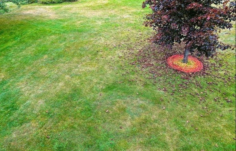 All the love and happiness: Amazing installation by David Allen All the love and happiness: Amazing installation by David Allen