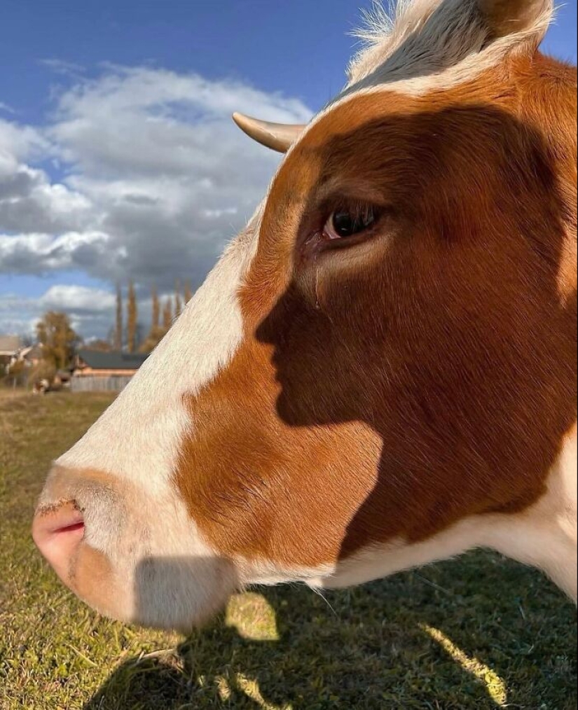 Amusing Urban Life: 10 Pictures Shared On This Instagram Account