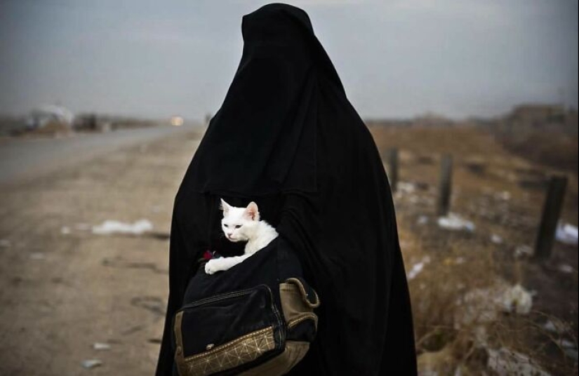 Amusing Urban Life: 10 Pictures Shared On This Instagram Account