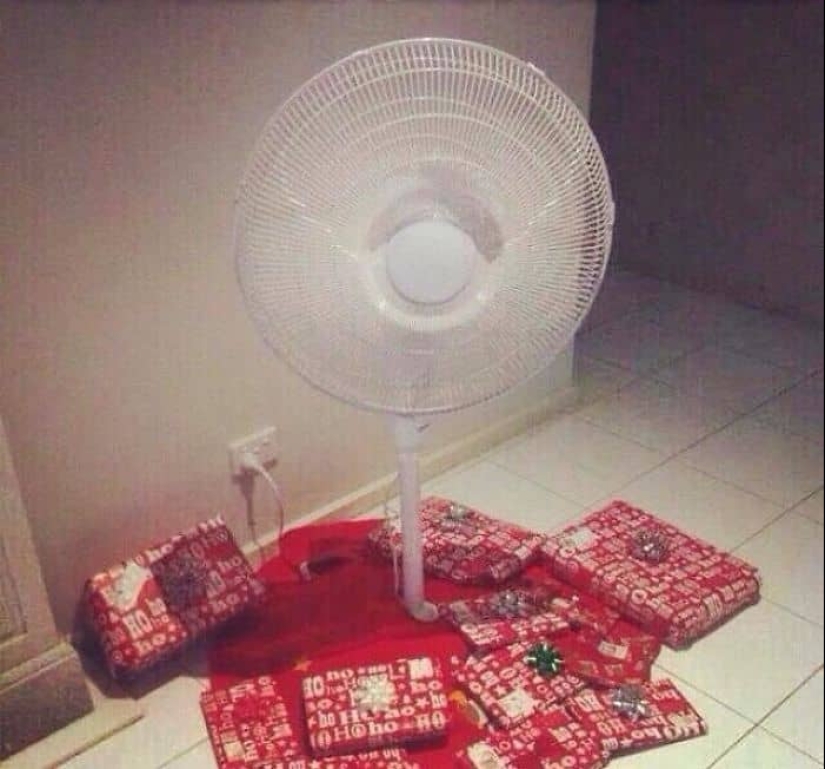 "And so it will come down!" 20 crazy Christmas trees that appeared thanks to Mother laziness "And so it will come down!" 20 crazy Christmas trees that appeared thanks to Mother laziness