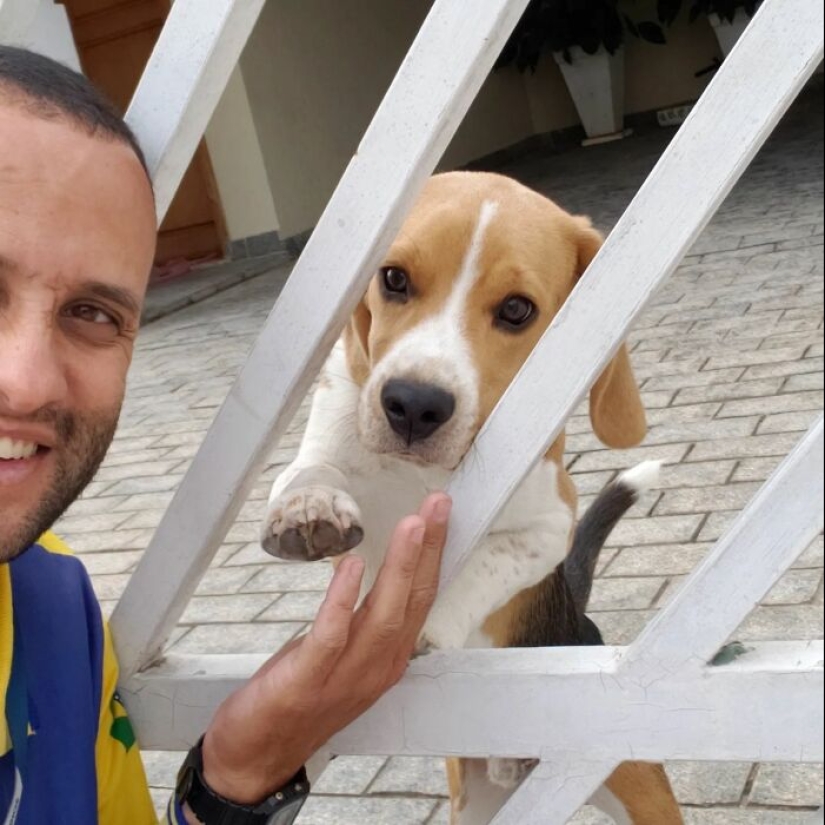 Animal-Friendly Postman: 15 Selfies This Man Took With Every Animal On His Mailing Route Animal-Friendly Postman: 15 Selfies This Man Took With Every Animal On His Mailing Route