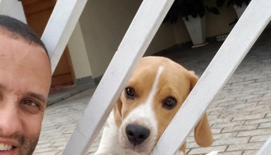 Animal-Friendly Postman: 15 Selfies This Man Took With Every Animal On His Mailing Route Animal-Friendly Postman: 15 Selfies This Man Took With Every Animal On His Mailing Route