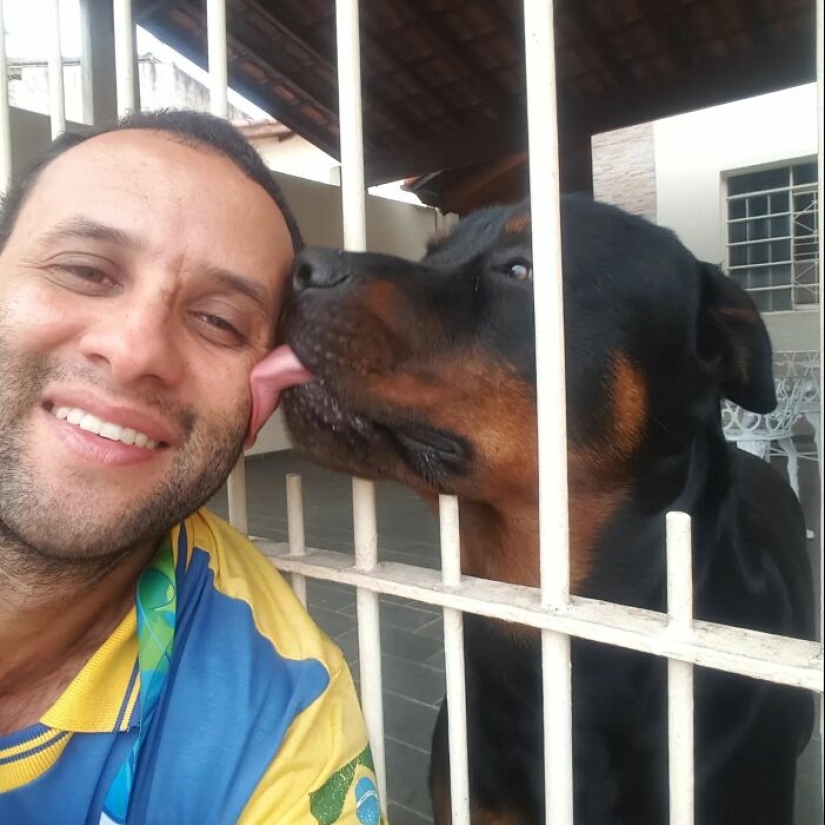 Animal-Friendly Postman: 15 Selfies This Man Took With Every Animal On His Mailing Route Animal-Friendly Postman: 15 Selfies This Man Took With Every Animal On His Mailing Route