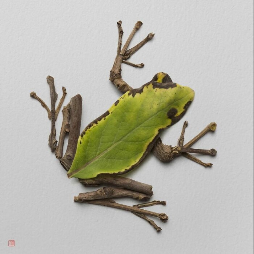 Artist Creates Animal Sculptures From Flower Arrangements Artist Creates Animal Sculptures From Flower Arrangements