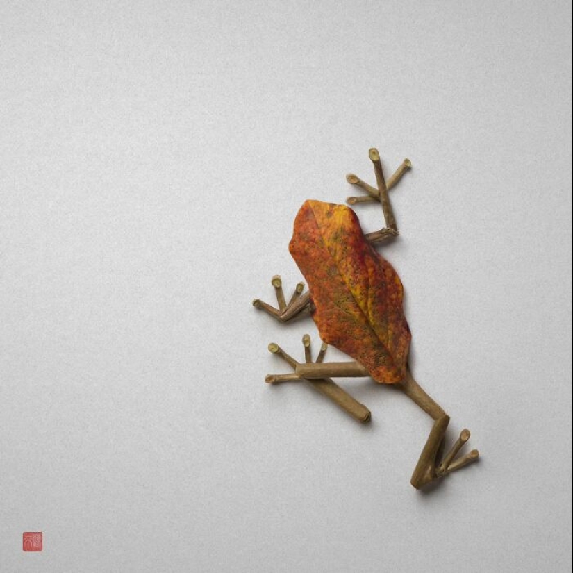 Artist Creates Animal Sculptures From Flower Arrangements Artist Creates Animal Sculptures From Flower Arrangements