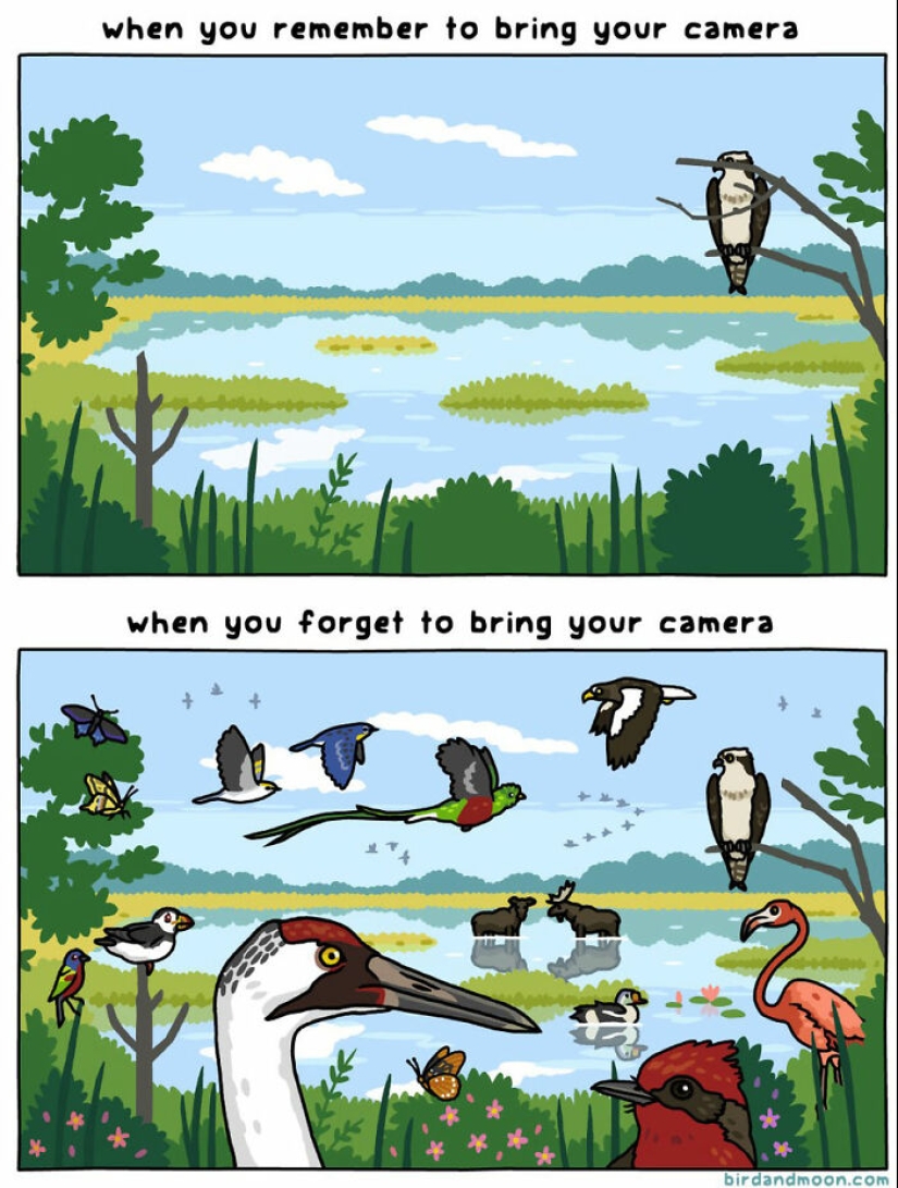 Artist Creates Comics Depicting Humorous Moments In Nature Artist Creates Comics Depicting Humorous Moments In Nature