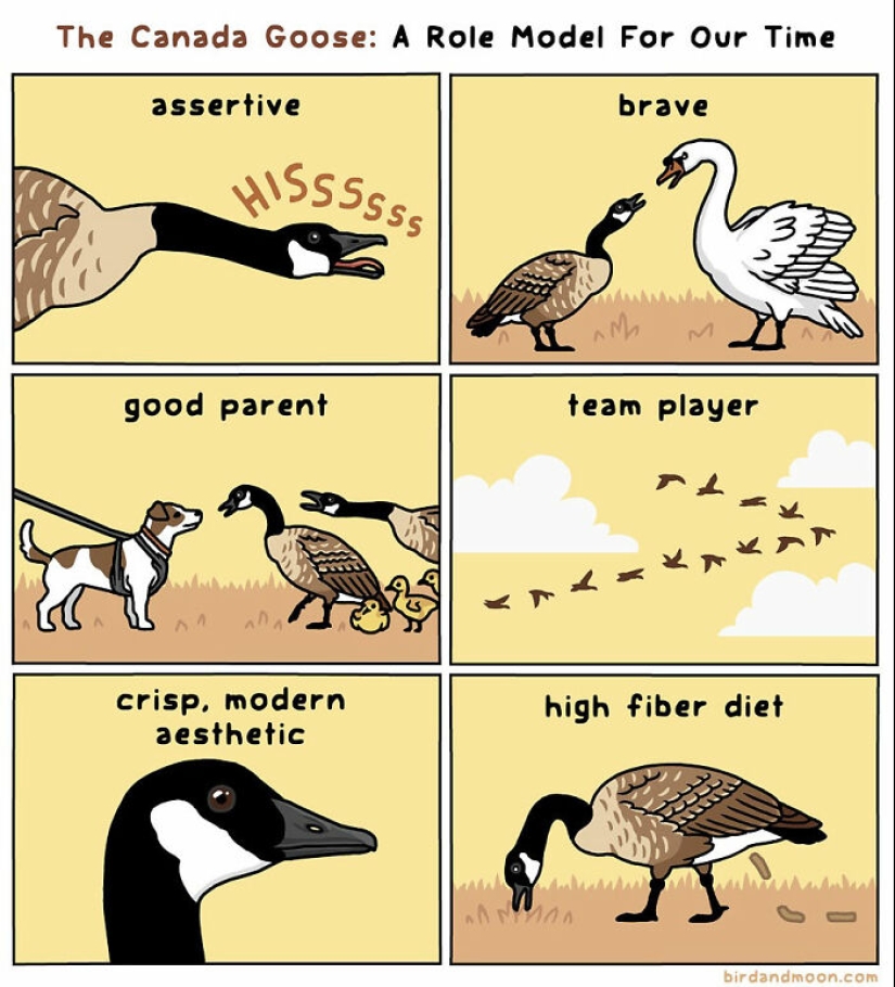 Artist Creates Comics Depicting Humorous Moments In Nature Artist Creates Comics Depicting Humorous Moments In Nature