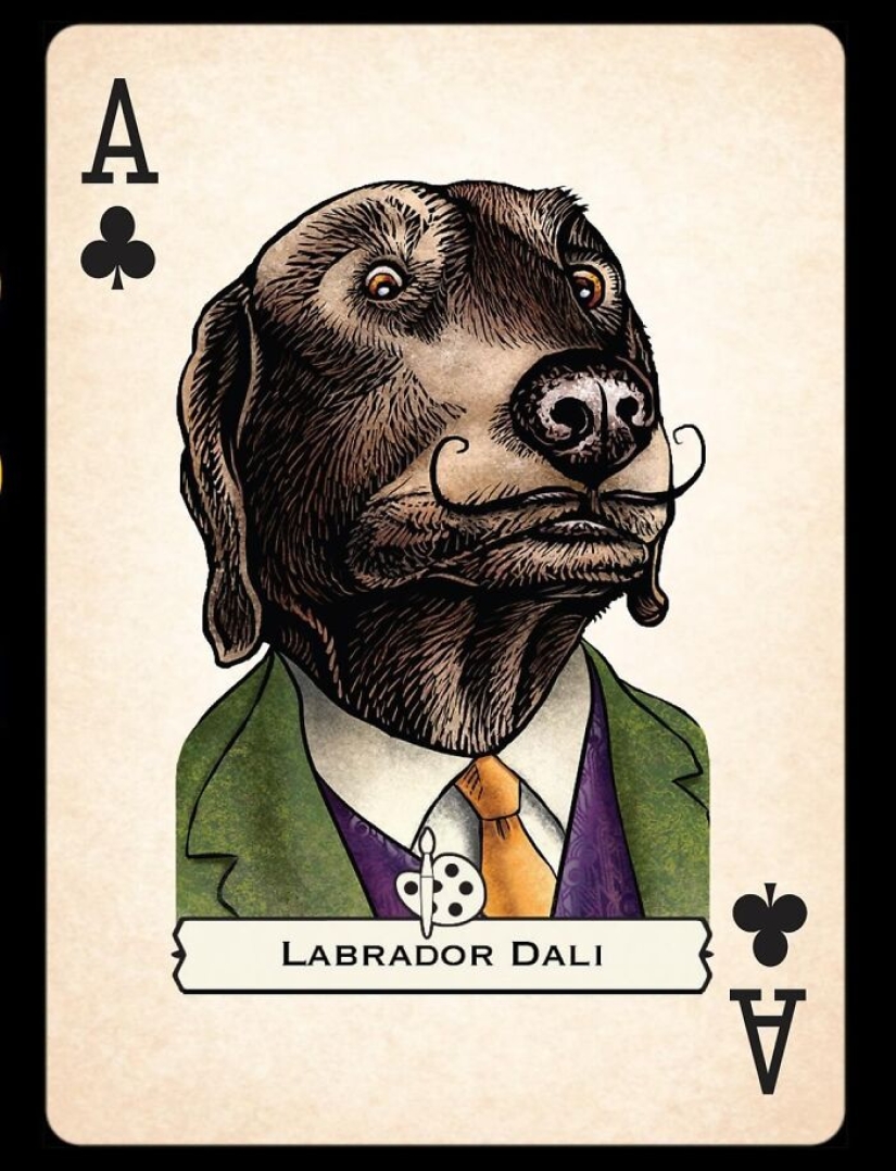 Artist Illustrates Card Decks Inspired By Famous People Or Characters That Pose As Dogs Or Cats