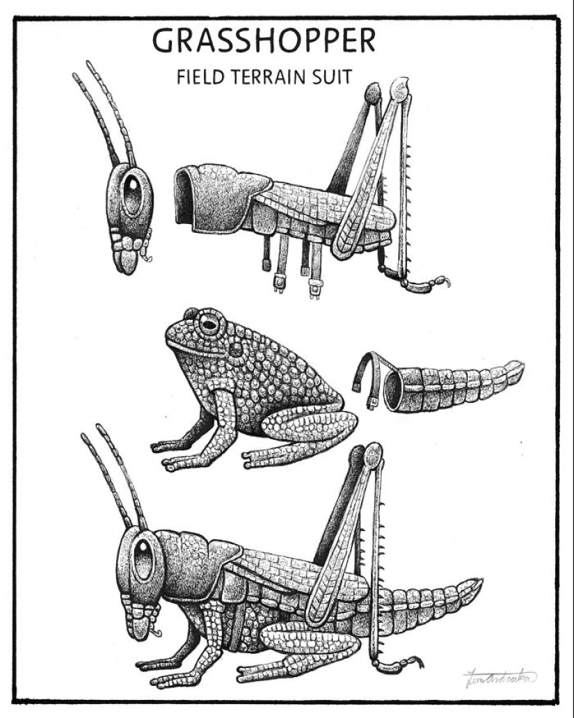 Artist Illustrates Funny-Looking Surreal Animals In A Scientific Encyclopedia Type Of Style