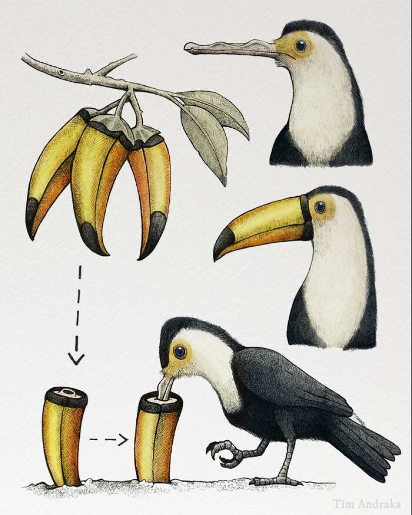 Artist Illustrates Funny-Looking Surreal Animals In A Scientific Encyclopedia Type Of Style