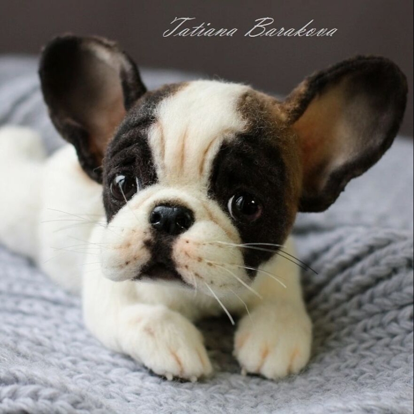 Artist Makes Very Realistic Animal Sculptures From Wool, And Here Are Her Newest 11 Works Artist Makes Very Realistic Animal Sculptures From Wool, And Here Are Her Newest 11 Works