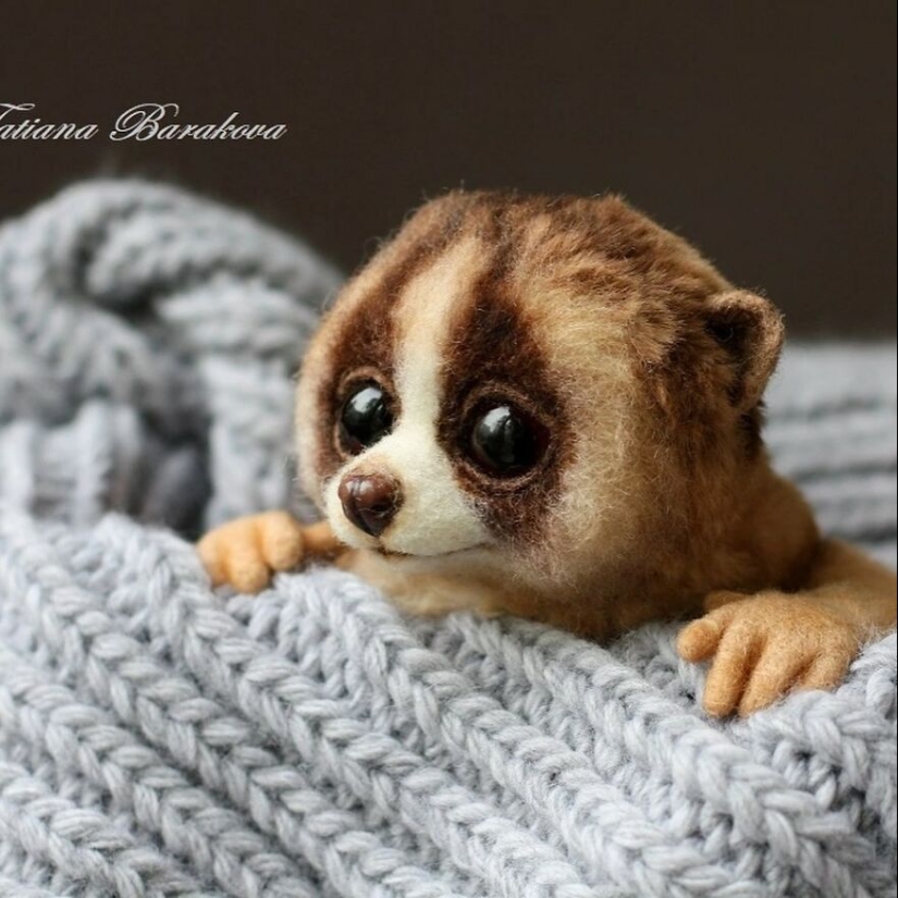 Artist Makes Very Realistic Animal Sculptures From Wool, And Here Are Her Newest 11 Works Artist Makes Very Realistic Animal Sculptures From Wool, And Here Are Her Newest 11 Works