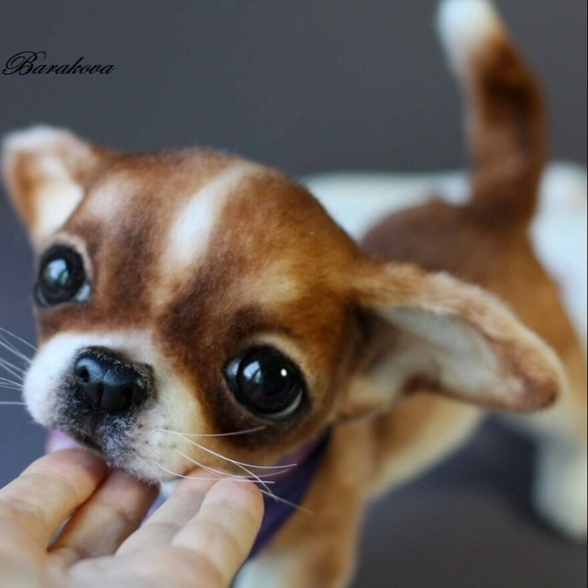 Artist Makes Very Realistic Animal Sculptures From Wool, And Here Are Her Newest 11 Works Artist Makes Very Realistic Animal Sculptures From Wool, And Here Are Her Newest 11 Works