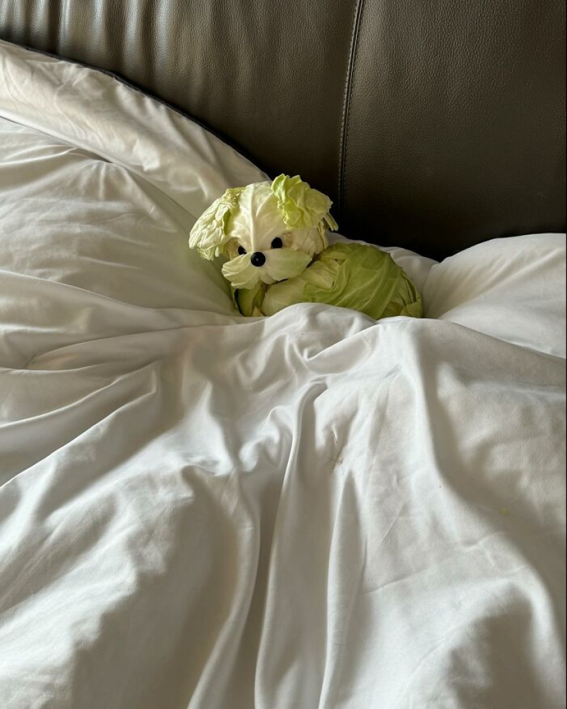 Artista coreano hace verdaderas obras de arte con comida Artista coreano hace verdaderas obras de arte con comida