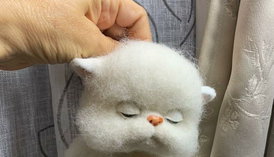 Artista hace esculturas de animales muy realistas con lana, y aquí están sus 11 obras más recientes