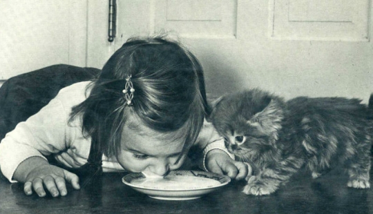 Atrapa el momento de la historia: 35 de las fotos más exitosas que decoraron la revista LIFE Atrapa el momento de la historia: 35 de las fotos más exitosas que decoraron la revista LIFE