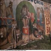 Autochrome - the first color shots