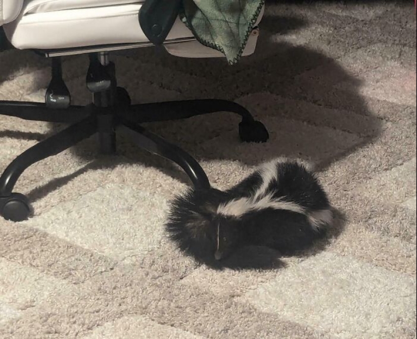 Bad Day, Huh: 12 People Having A Really Unfortunate Day Bad Day, Huh: 12 People Having A Really Unfortunate Day