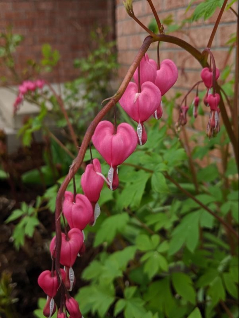 Balm for the soul: 17 photos for visual pleasure perfectionists