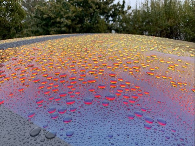 Balm for the soul: 17 photos for visual pleasure perfectionists