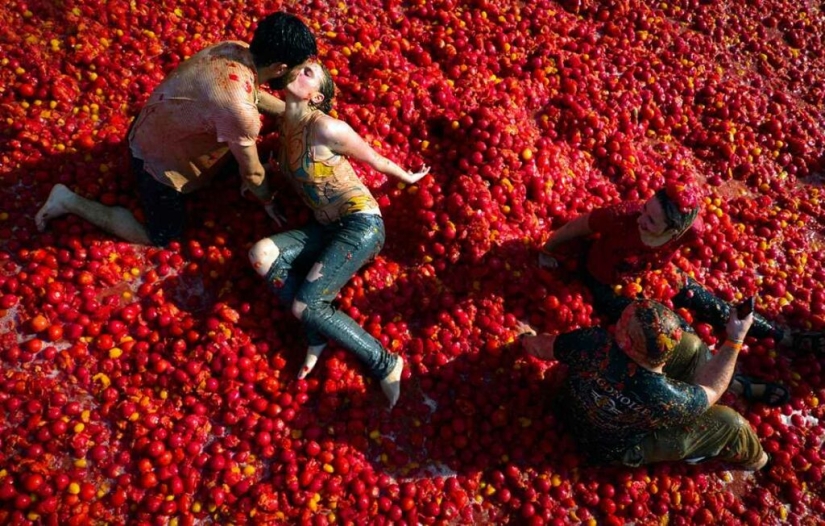 Batalla de los tomates o fiesta de la Tomatina