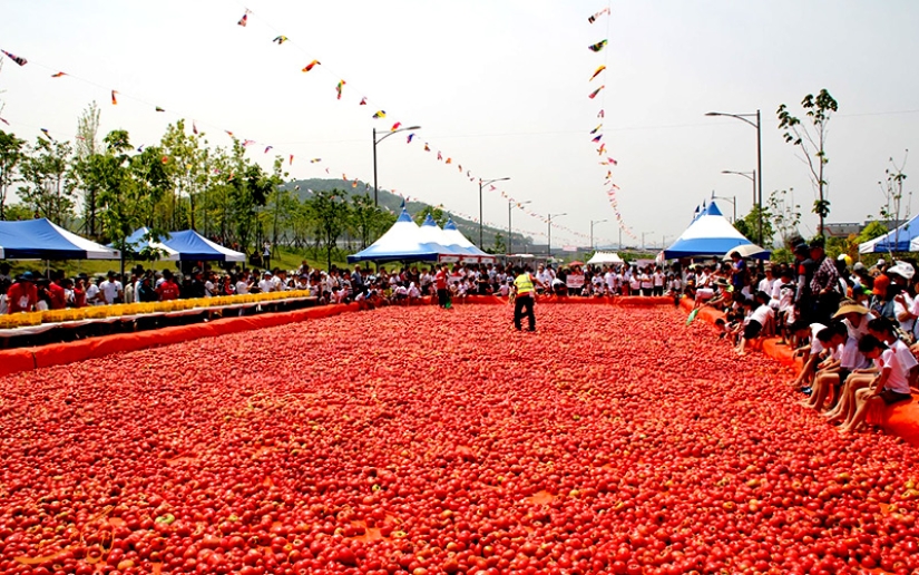 Batalla de los tomates o fiesta de la Tomatina