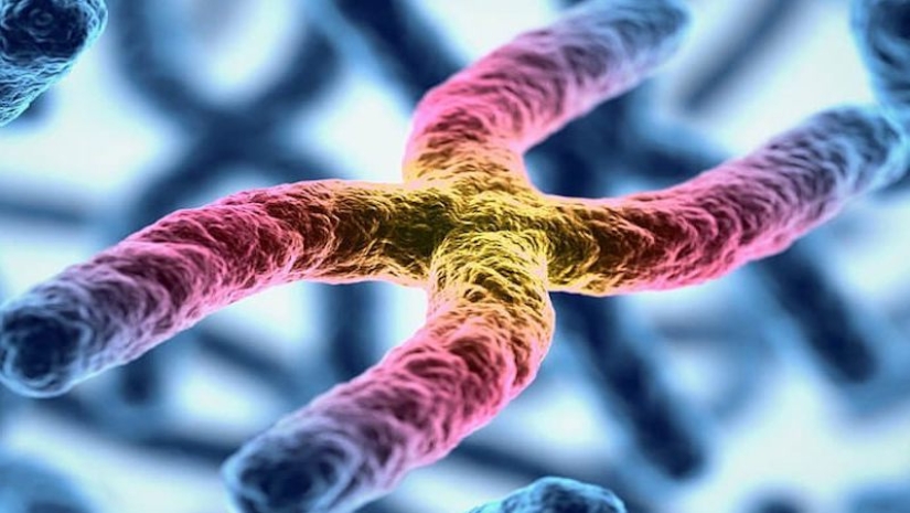 Belleza interior: un microbiólogo de Ufa muestra en Instagram los virus y bacterias que viven en nosotros Belleza interior: un microbiólogo de Ufa muestra en Instagram los virus y bacterias que viven en nosotros