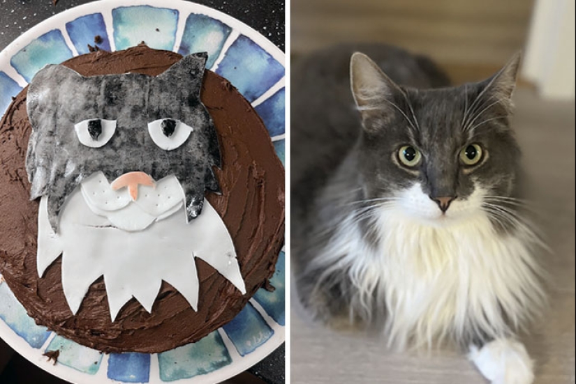 “Best Eat That Cake Before It Eats You”: 12 Hilariously Bad Cakes