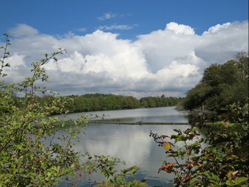 Best Nature Pics Best Nature Pics