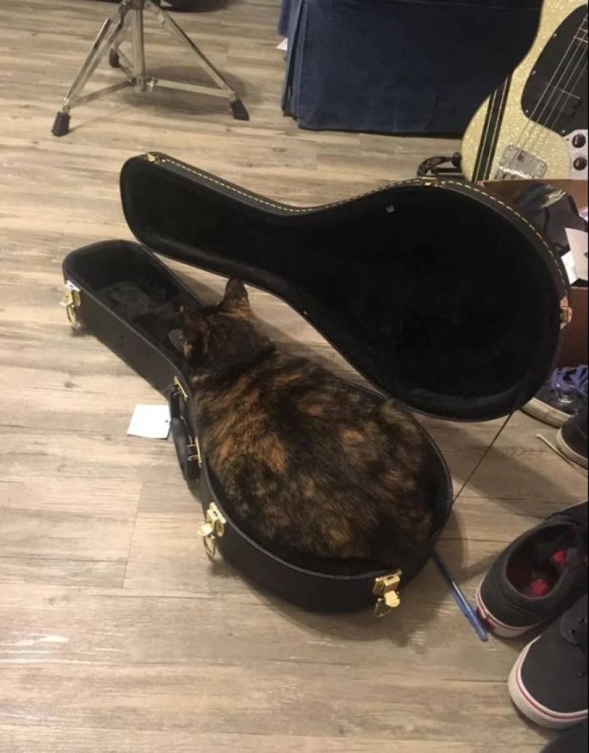 Bálsamo para el alma: el 17 de fotos para su placer visual a los perfeccionistas Bálsamo para el alma: el 17 de fotos para su placer visual a los perfeccionistas