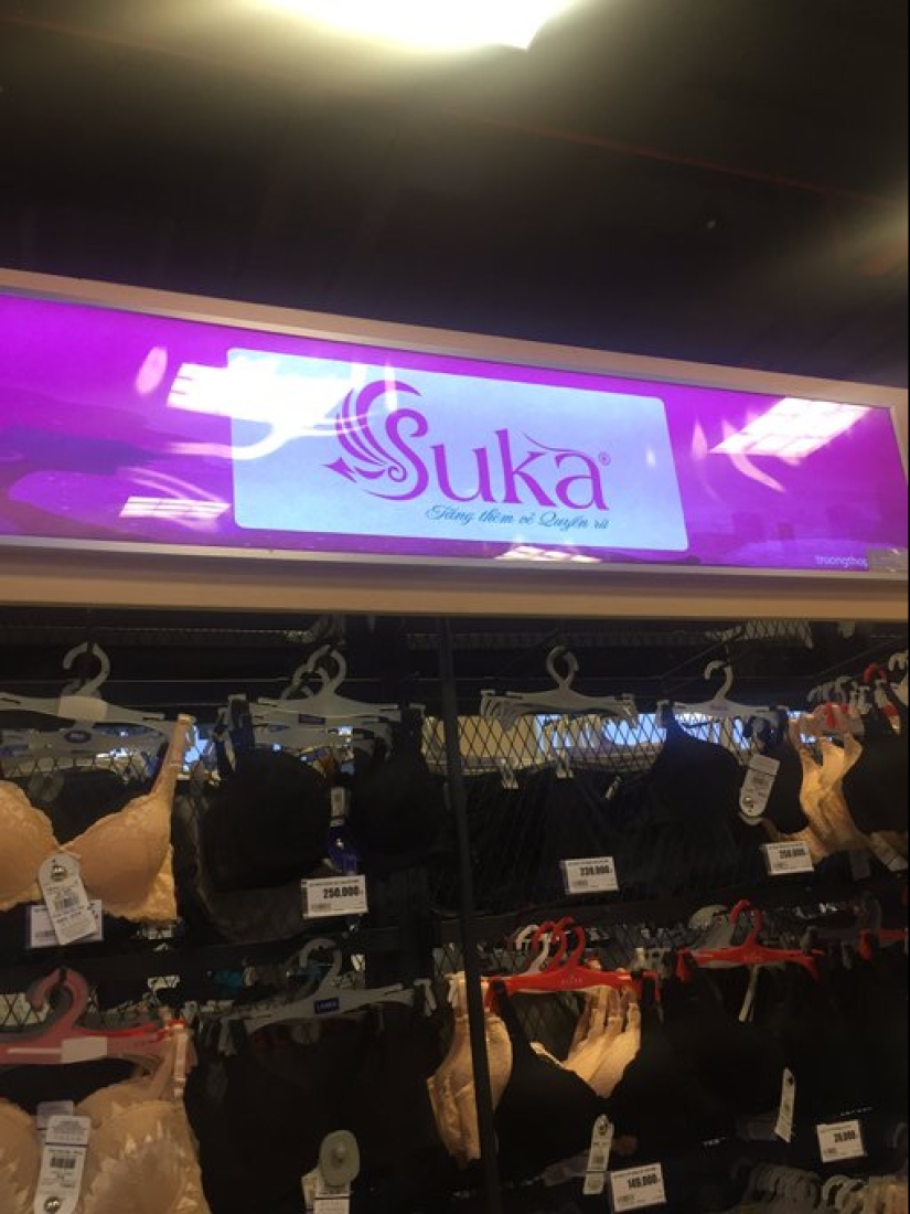 Bollos, bollos y otros signos estúpidos, divertidos y extraños