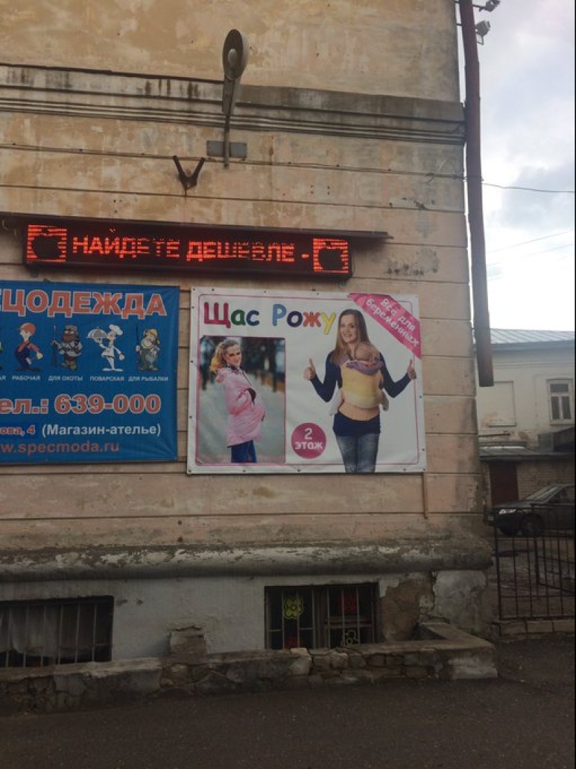 Bollos, bollos y otros signos estúpidos, divertidos y extraños