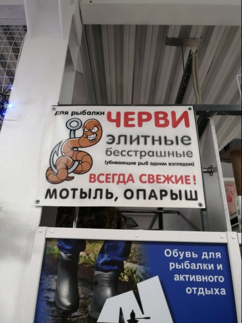 Bollos, bollos y otros signos estúpidos, divertidos y extraños