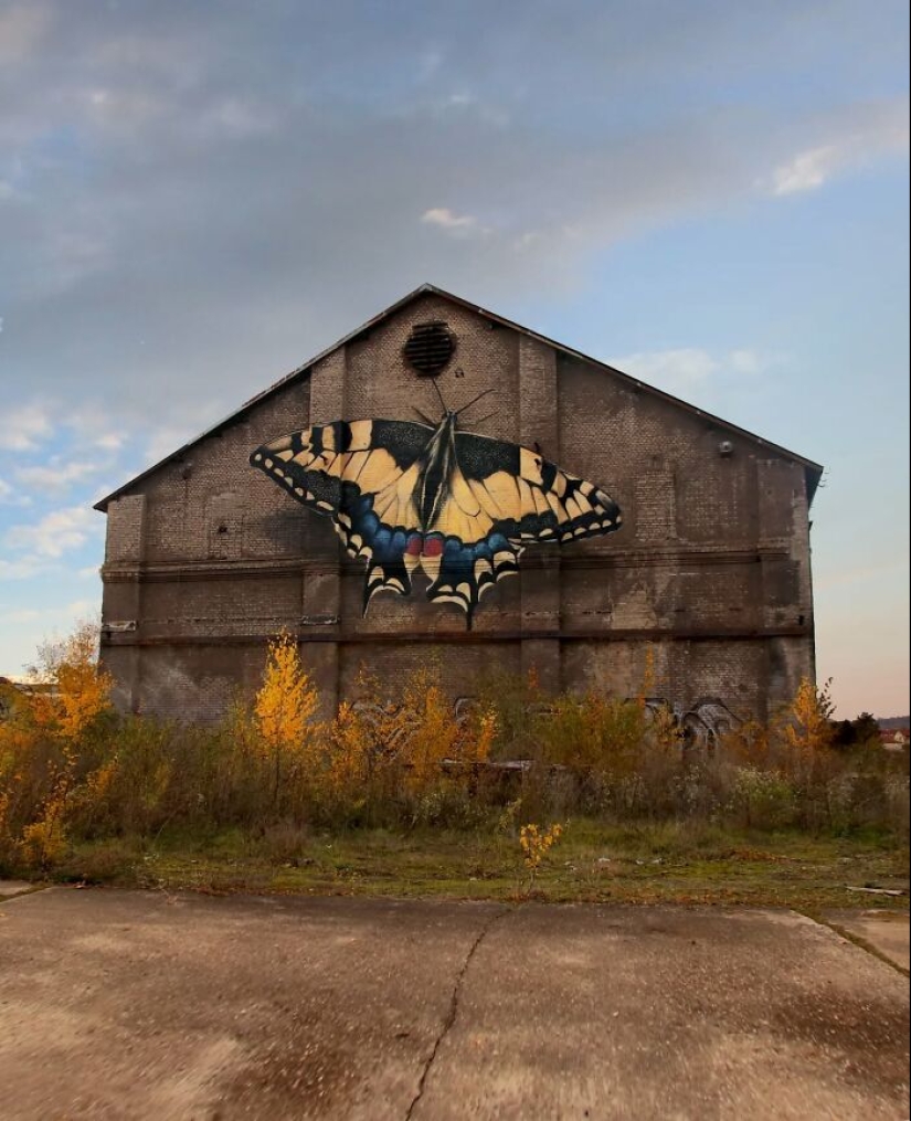 Cajas de muestras: 13 murales de mariposas gigantes pintados por este artista francés en todo el mundo