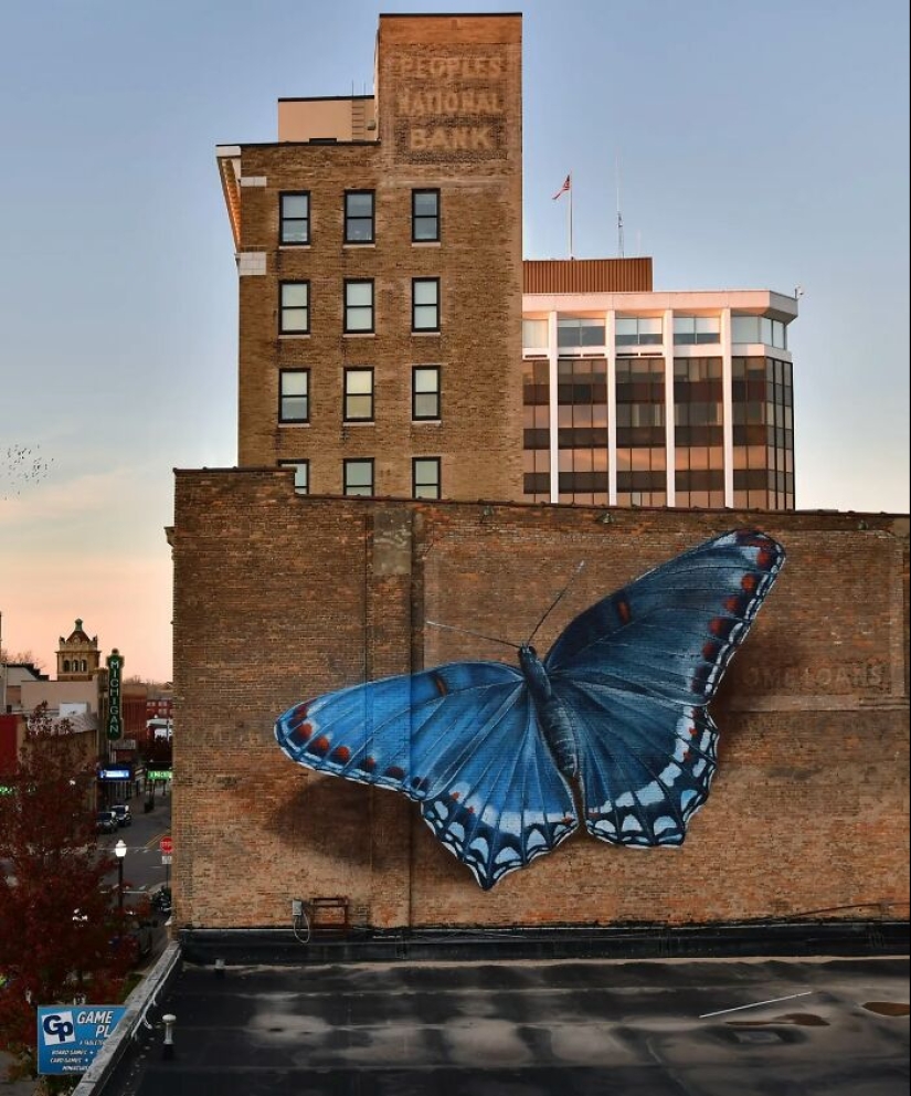 Cajas de muestras: 13 murales de mariposas gigantes pintados por este artista francés en todo el mundo
