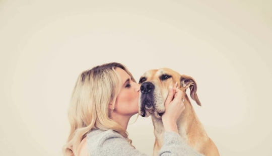 Capturé el vínculo entre los perros y sus humanos para demostrar que las mascotas son parte de la familia