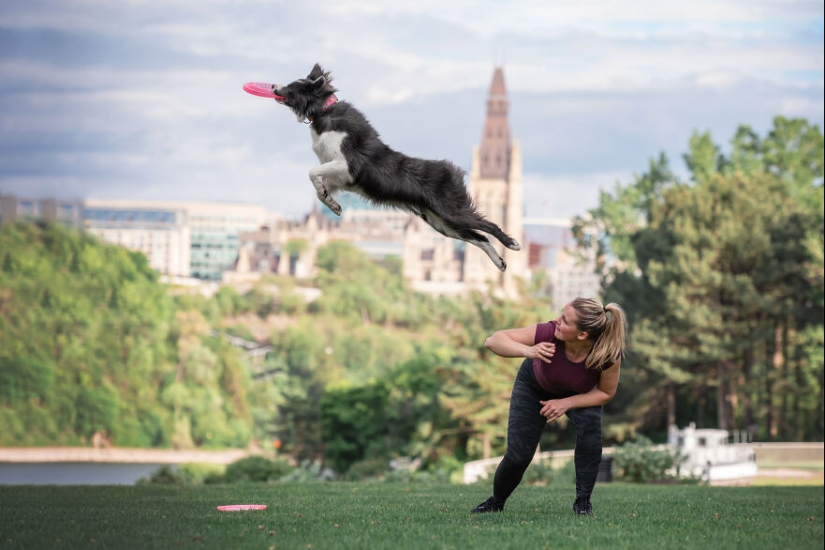 Capturé perros huyendo y los resultados son las caras de alegría más adorables Capturé perros huyendo y los resultados son las caras de alegría más adorables