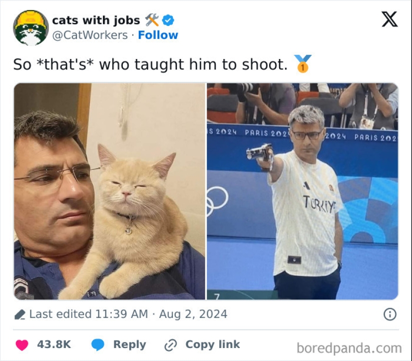 “Cats With Jobs”: 10 Hardworking Cats Who Deserve A Day Off “Cats With Jobs”: 10 Hardworking Cats Who Deserve A Day Off