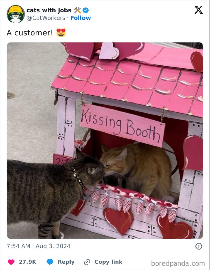 “Cats With Jobs”: 10 Hardworking Cats Who Deserve A Day Off “Cats With Jobs”: 10 Hardworking Cats Who Deserve A Day Off