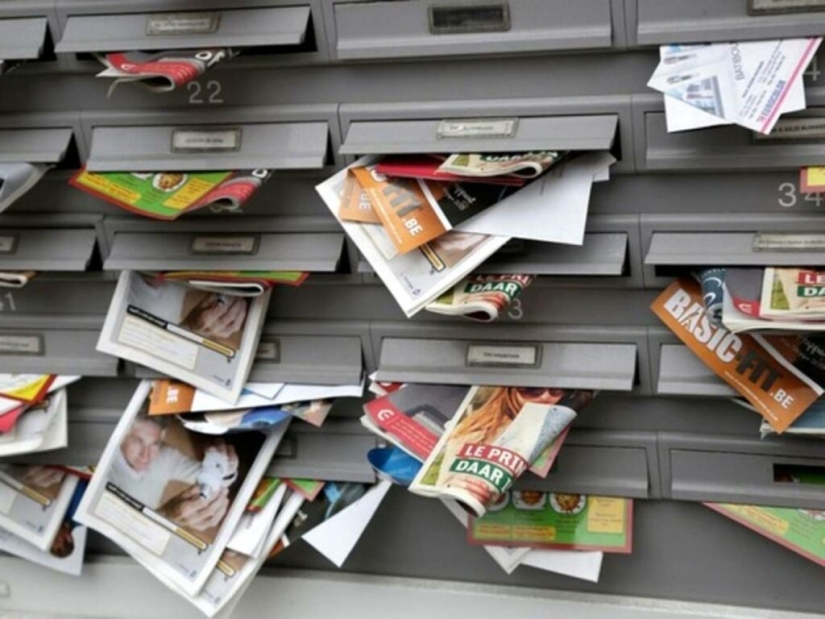 ¿Cómo apareció la palabra “spam” y qué significaba antes?