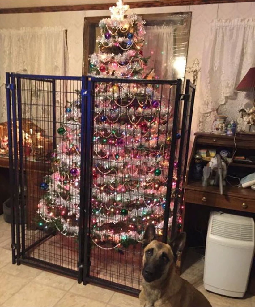 Cómo proteger un árbol de Navidad de mascotas dañinas y audaces Cómo proteger un árbol de Navidad de mascotas dañinas y audaces
