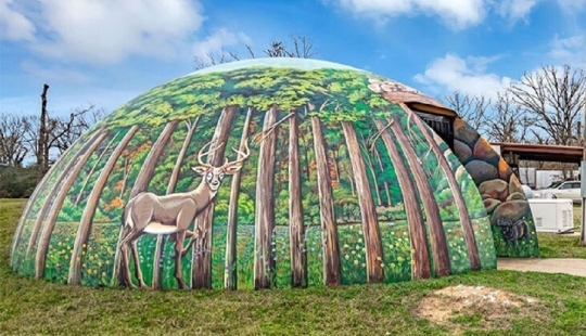 ¿Cómo se ve una casa subterránea en Texas que vale dos millones de dólares?