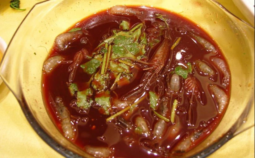 Comer a los vivos: 10 de los más sádicos platos típicos en el mundo