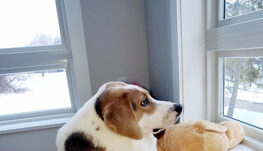 Cooper’s Inspiring Story Of Living A Happy Life With A Very Rare Short Spine Syndrome