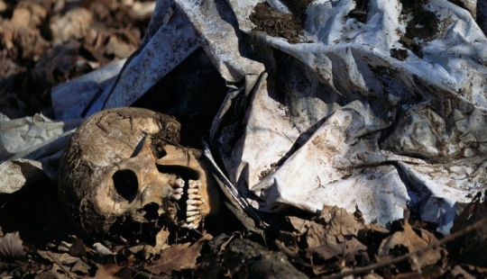 Corpse farms: for whom a terrible "harvest" is ripening in the fields and forests Corpse farms: for whom a terrible "harvest" is ripening in the fields and forests