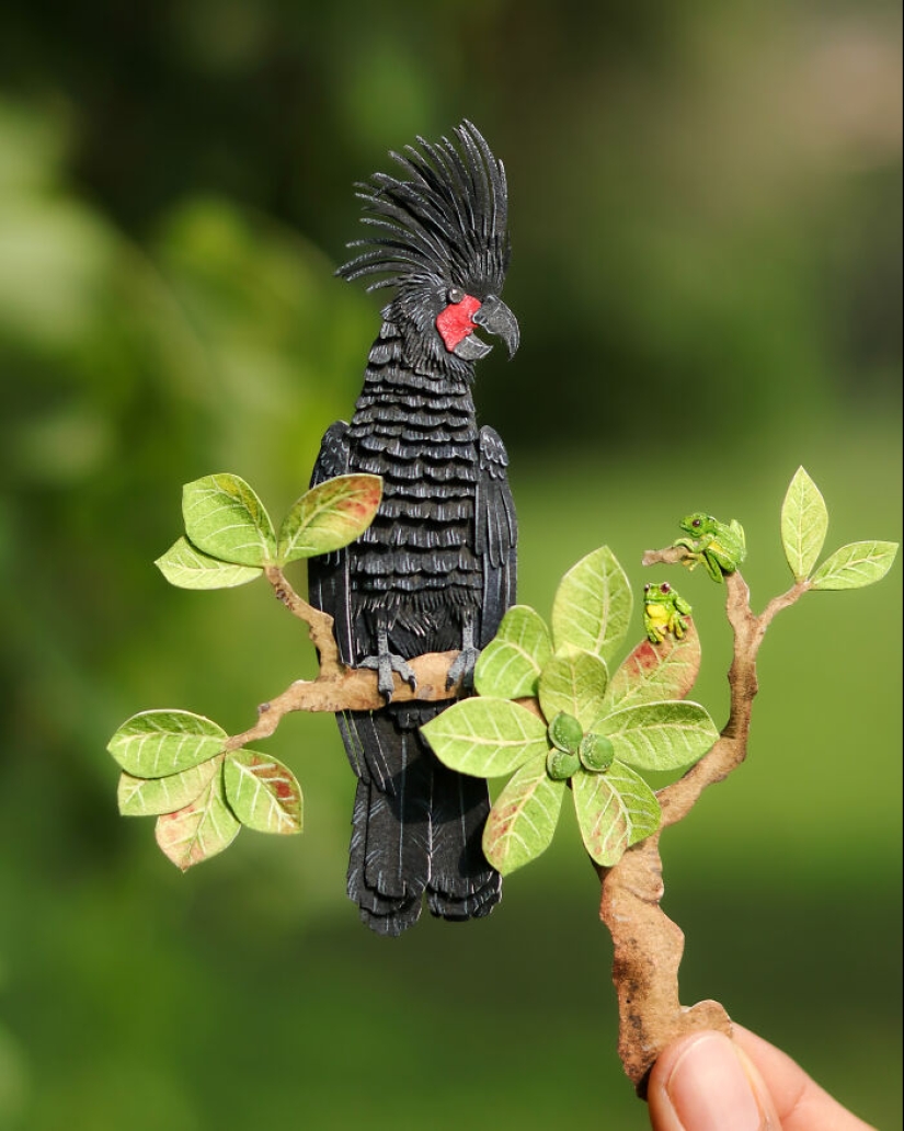 Creo arte en papel y aquí está mi colección de 20 loros en miniatura Creo arte en papel y aquí está mi colección de 20 loros en miniatura