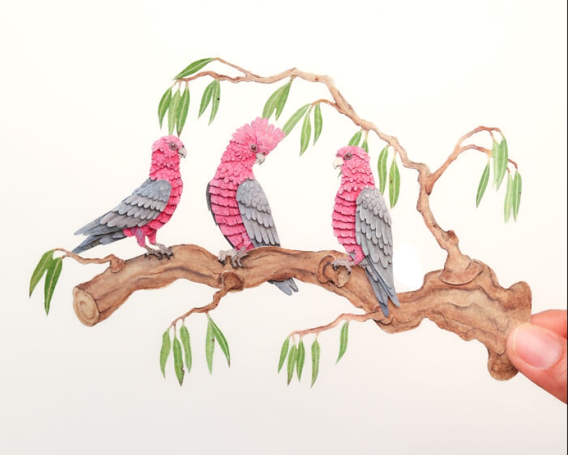 Creo arte en papel y aquí está mi colección de 20 loros en miniatura Creo arte en papel y aquí está mi colección de 20 loros en miniatura