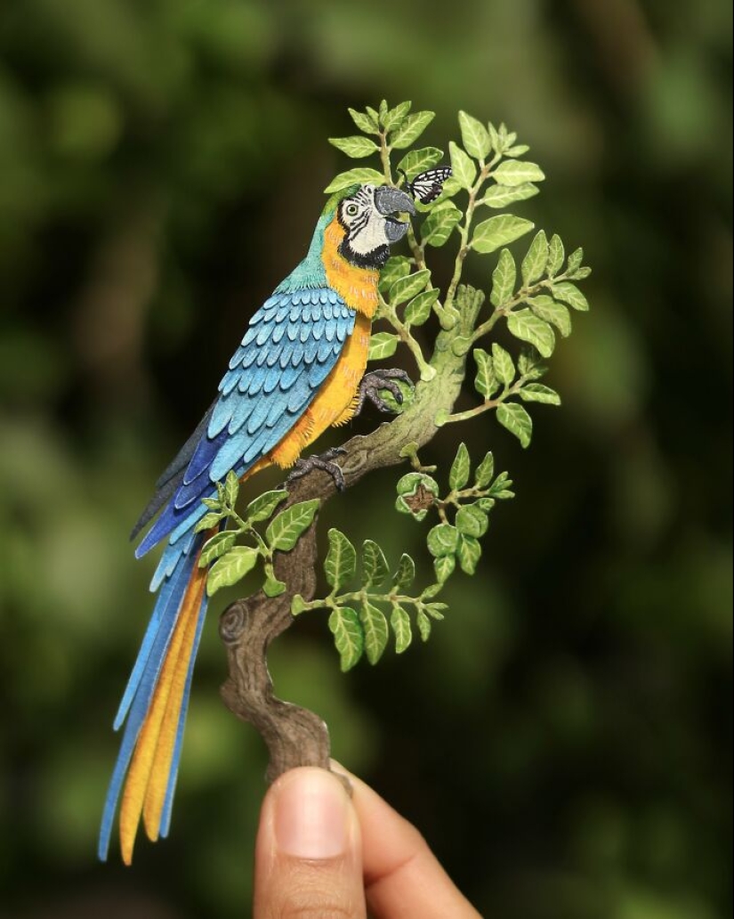Creo arte en papel y aquí está mi colección de 20 loros en miniatura Creo arte en papel y aquí está mi colección de 20 loros en miniatura