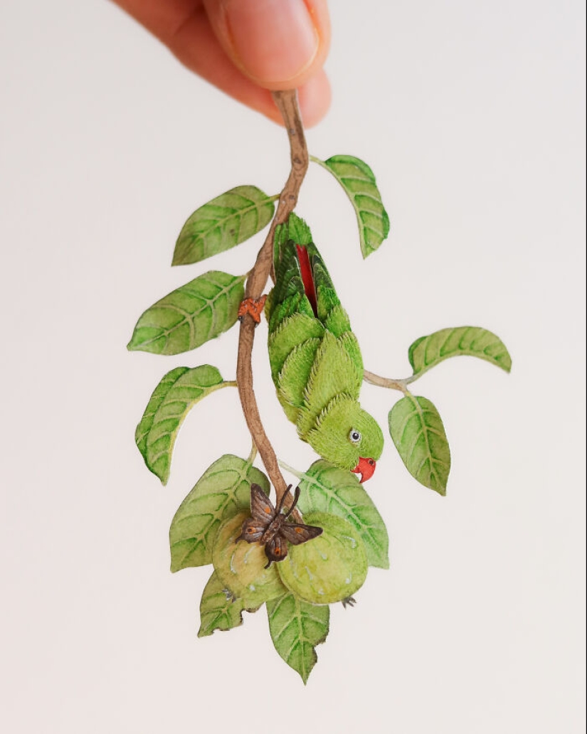 Creo arte en papel y aquí está mi colección de 20 loros en miniatura Creo arte en papel y aquí está mi colección de 20 loros en miniatura