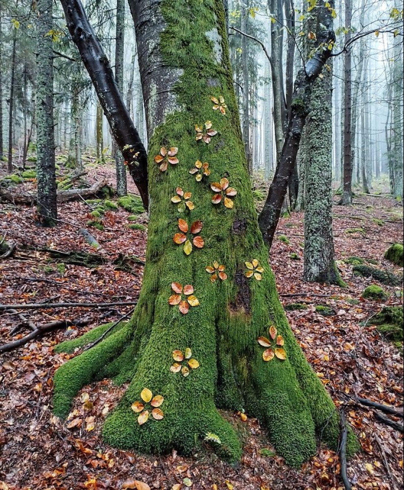 Creo arte fugaz con los regalos de la naturaleza Creo arte fugaz con los regalos de la naturaleza